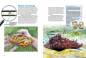 Preview: Entdecke die Schnecken